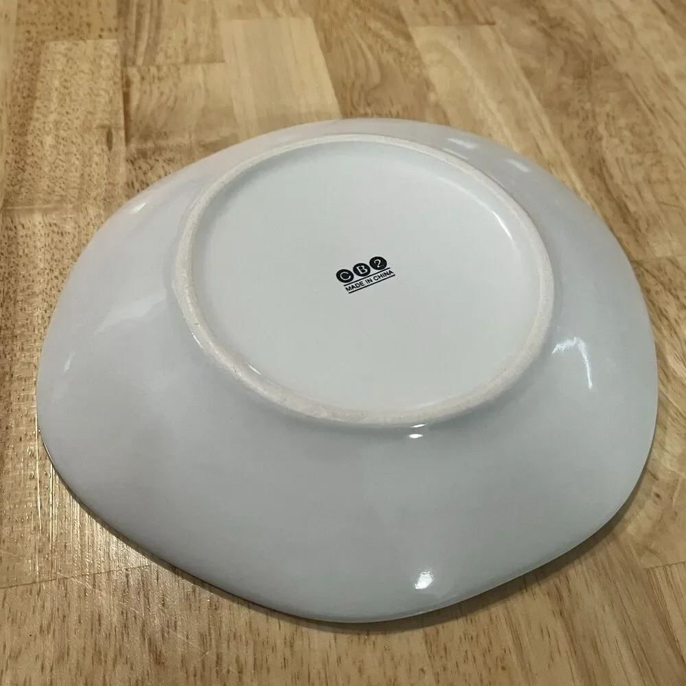 Crate & Barrel CB2 Organically Shaped Crackle Glaze Plate Set of 6 Salad Dinner